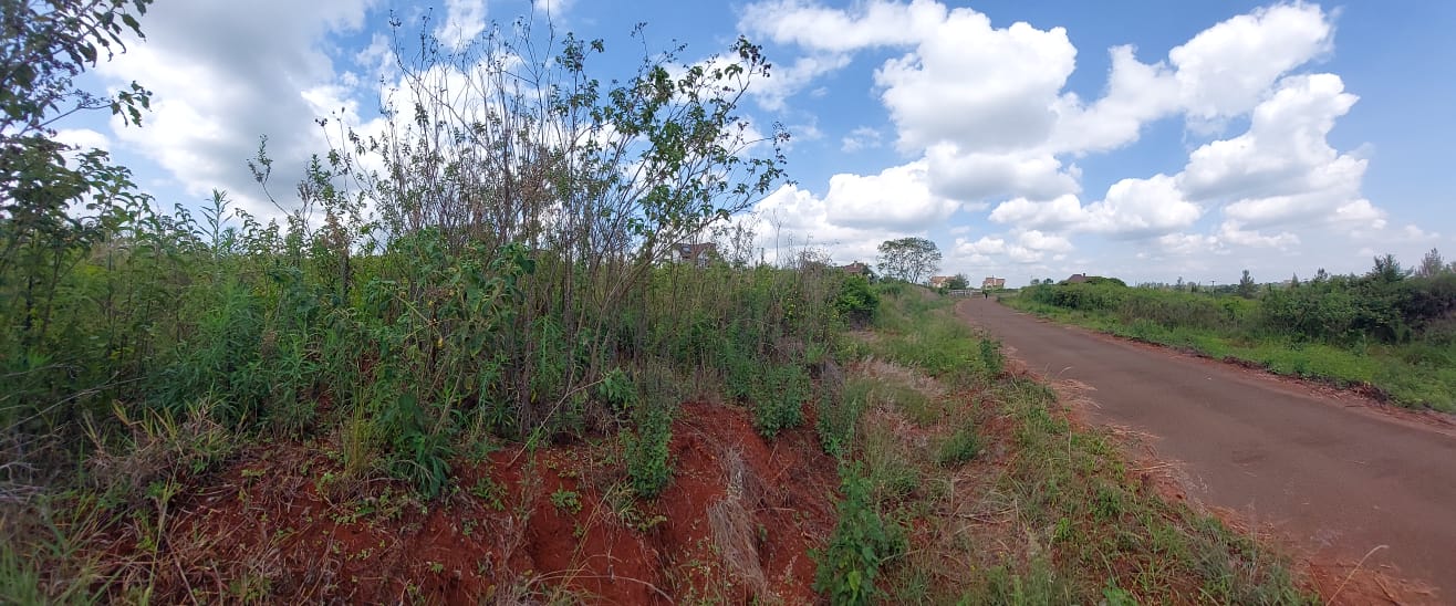 Prime 1/3 acre residential plot at Thika Greens Phase 2 - Villa Care Kenya