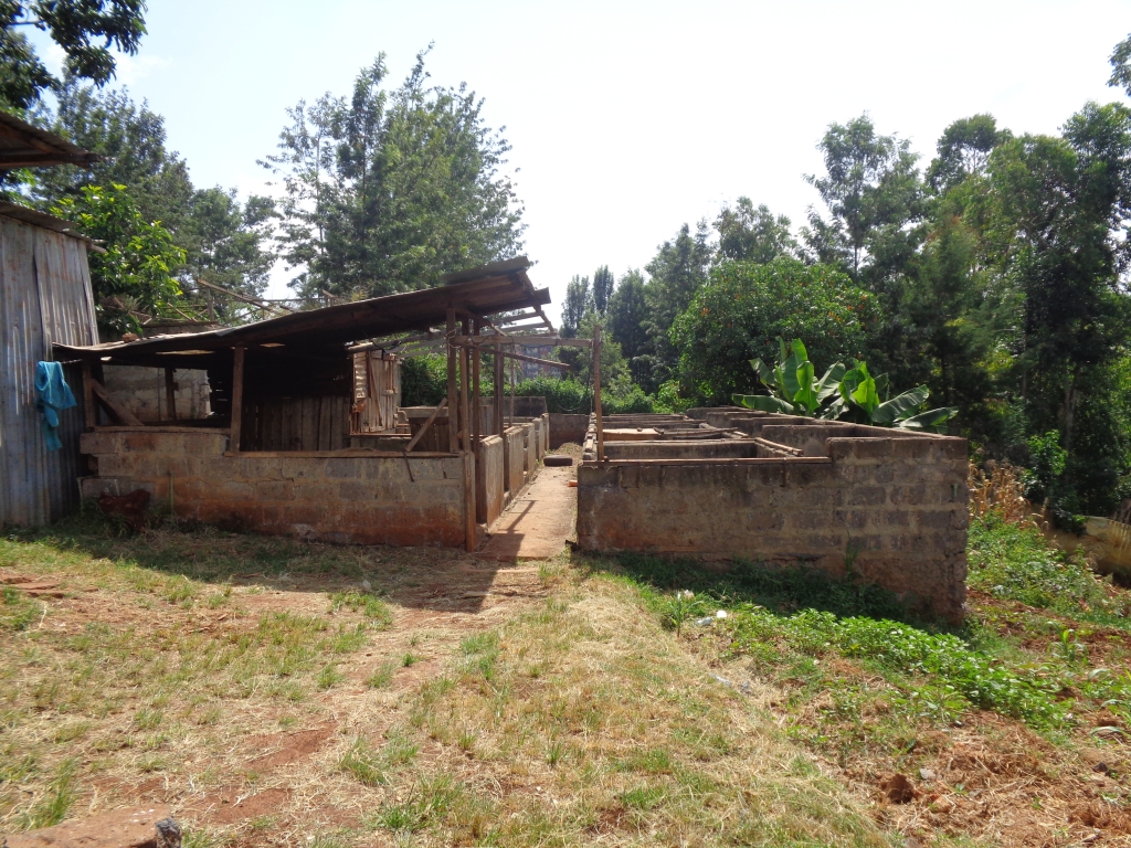 100 x 100 PRIME PLOT AT GATHIGA, KITISURU WEST Villa Care Kenya