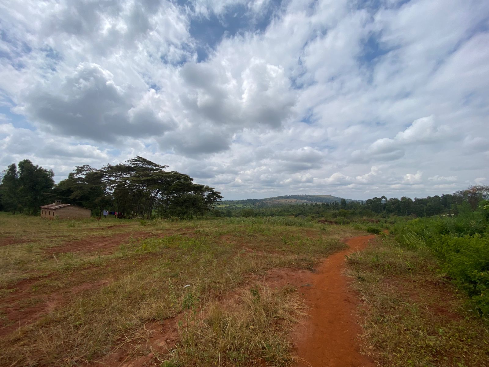 Makuyu Ridge Land8